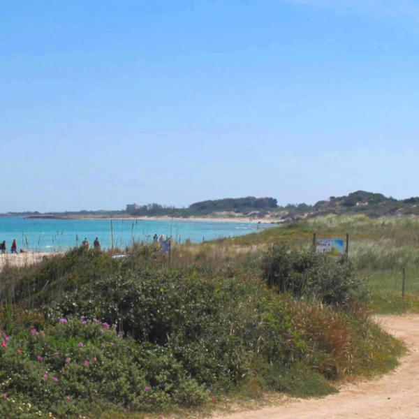 Torre Guaceto